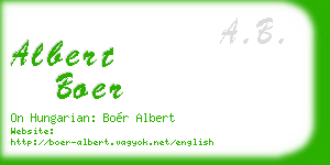 albert boer business card